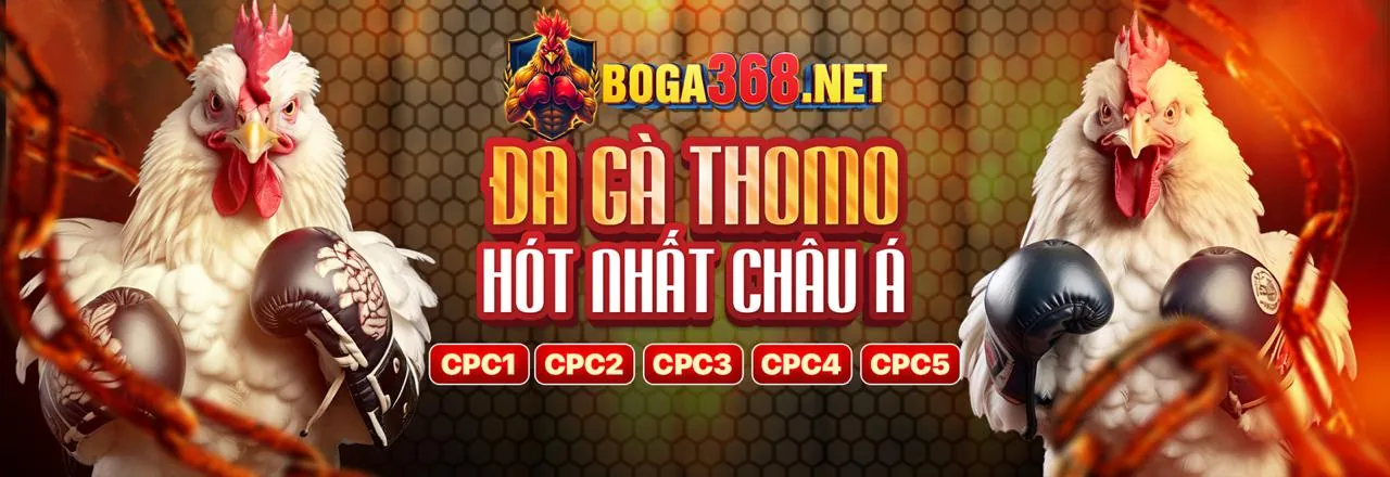 Cam kết dịch vụ khách hàng 88xx login